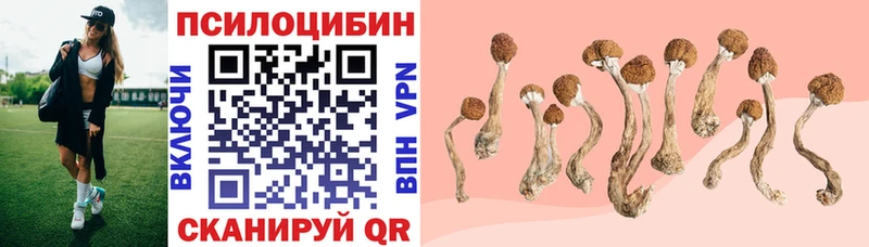Галлюциногенные грибы прущие грибы  Щёкино 