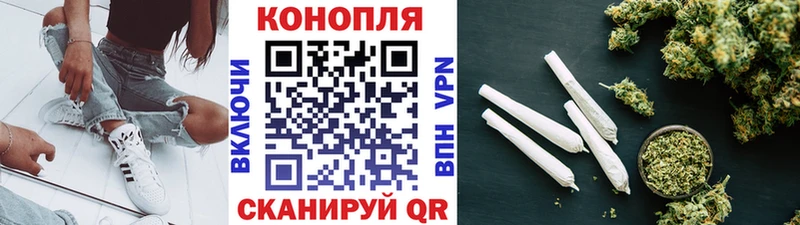 Канабис гибрид  Щёкино 